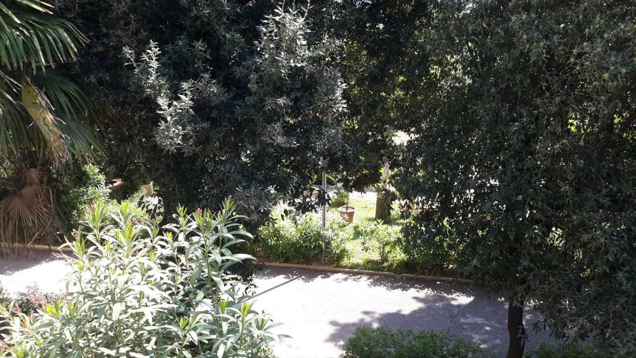 מלון פוליקורו Centro Giovanile Padre Minozzi מראה חיצוני תמונה